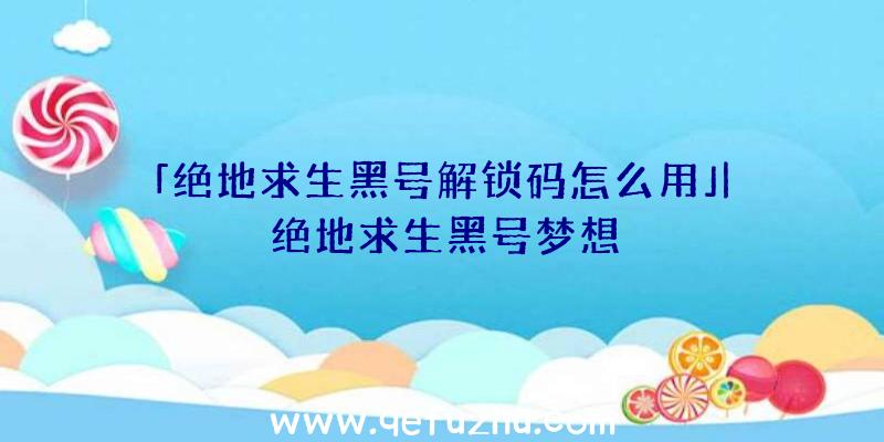 「绝地求生黑号解锁码怎么用」|绝地求生黑号梦想